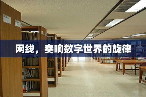 网线，奏响数字世界的旋律