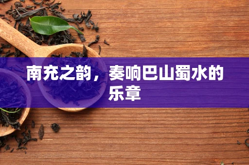 南充之韵，奏响巴山蜀水的乐章