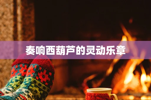 奏响西葫芦的灵动乐章
