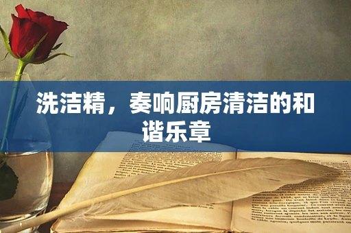 洗洁精，奏响厨房清洁的和谐乐章