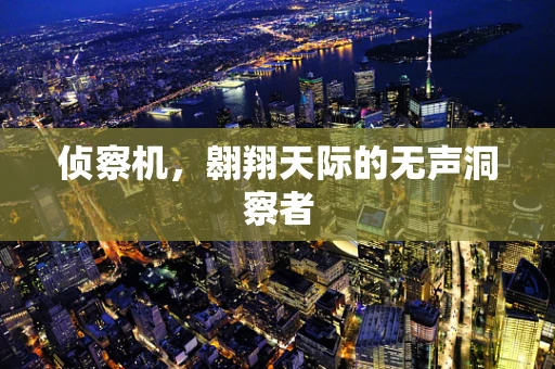 侦察机，翱翔天际的无声洞察者