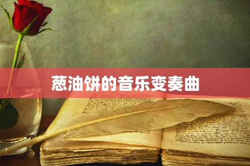 葱油饼的音乐变奏曲