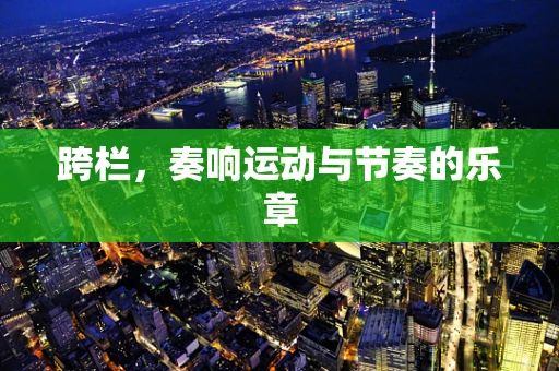 跨栏，奏响运动与节奏的乐章