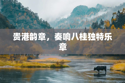 贵港韵章，奏响八桂独特乐章