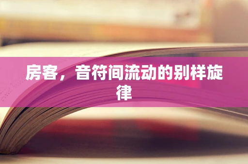 房客，音符间流动的别样旋律