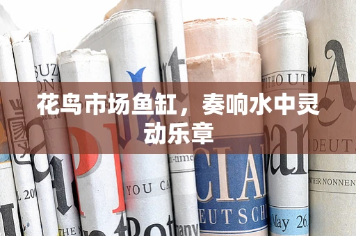 花鸟市场鱼缸，奏响水中灵动乐章