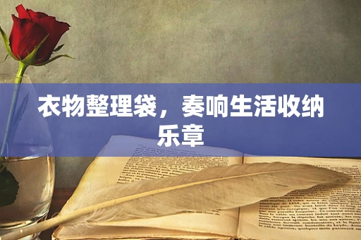 衣物整理袋，奏响生活收纳乐章