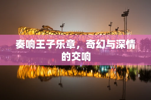 奏响王子乐章，奇幻与深情的交响