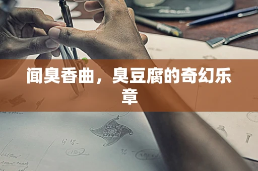 闻臭香曲，臭豆腐的奇幻乐章
