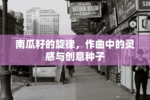 南瓜籽的旋律，作曲中的灵感与创意种子