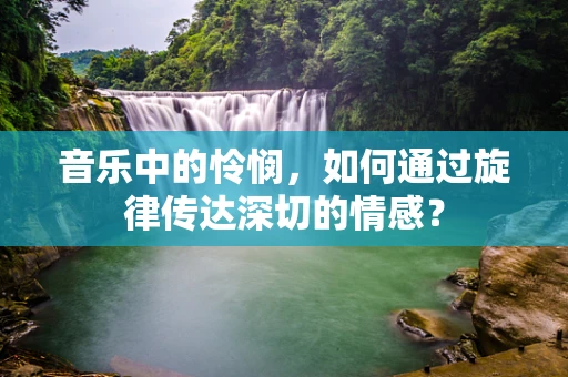 音乐中的怜悯，如何通过旋律传达深切的情感？