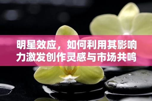 明星效应，如何利用其影响力激发创作灵感与市场共鸣？