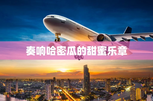 奏响哈密瓜的甜蜜乐章