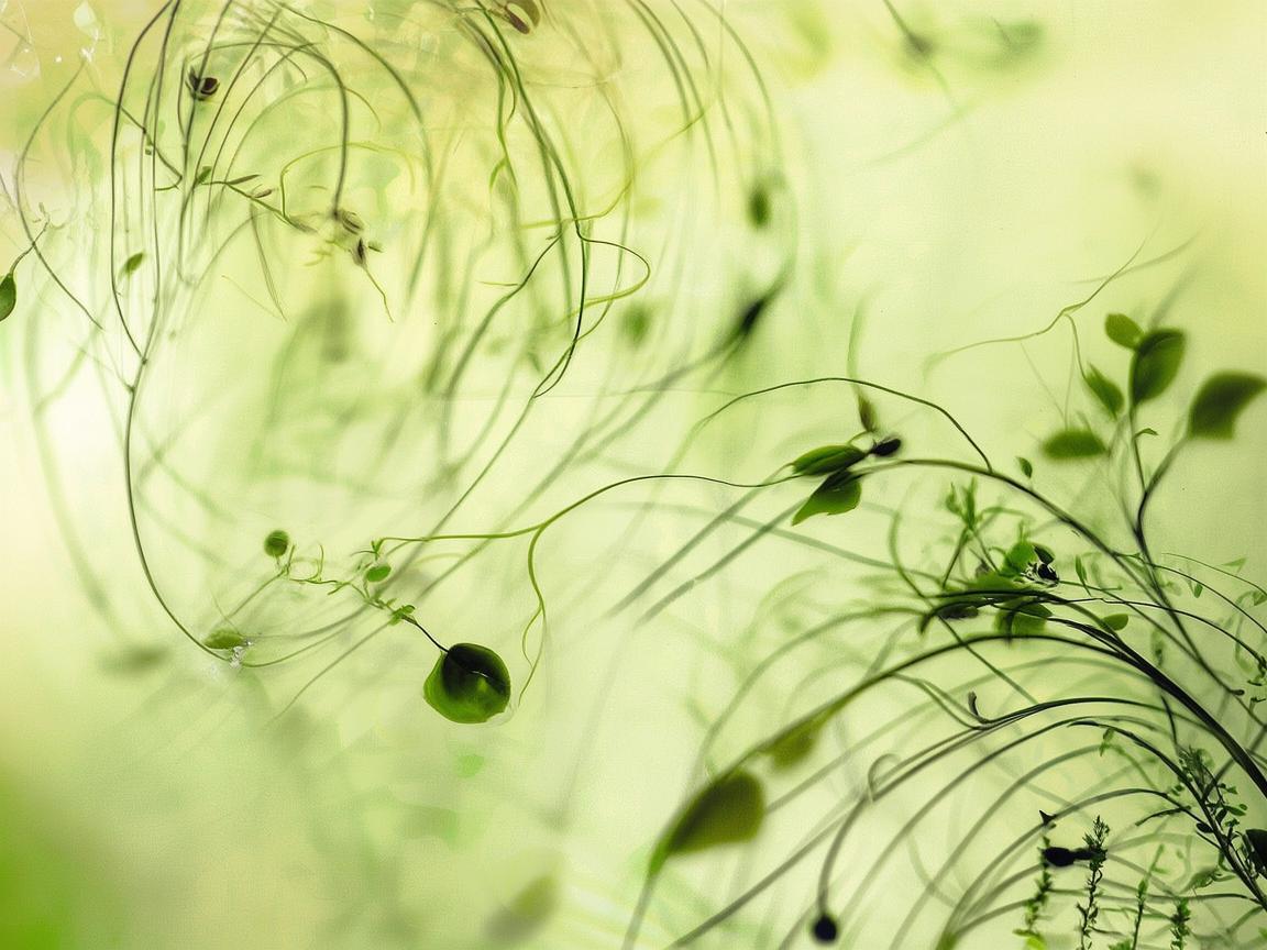 苦瓜之音，如何在旋律中捕捉生活的酸涩与甘甜？