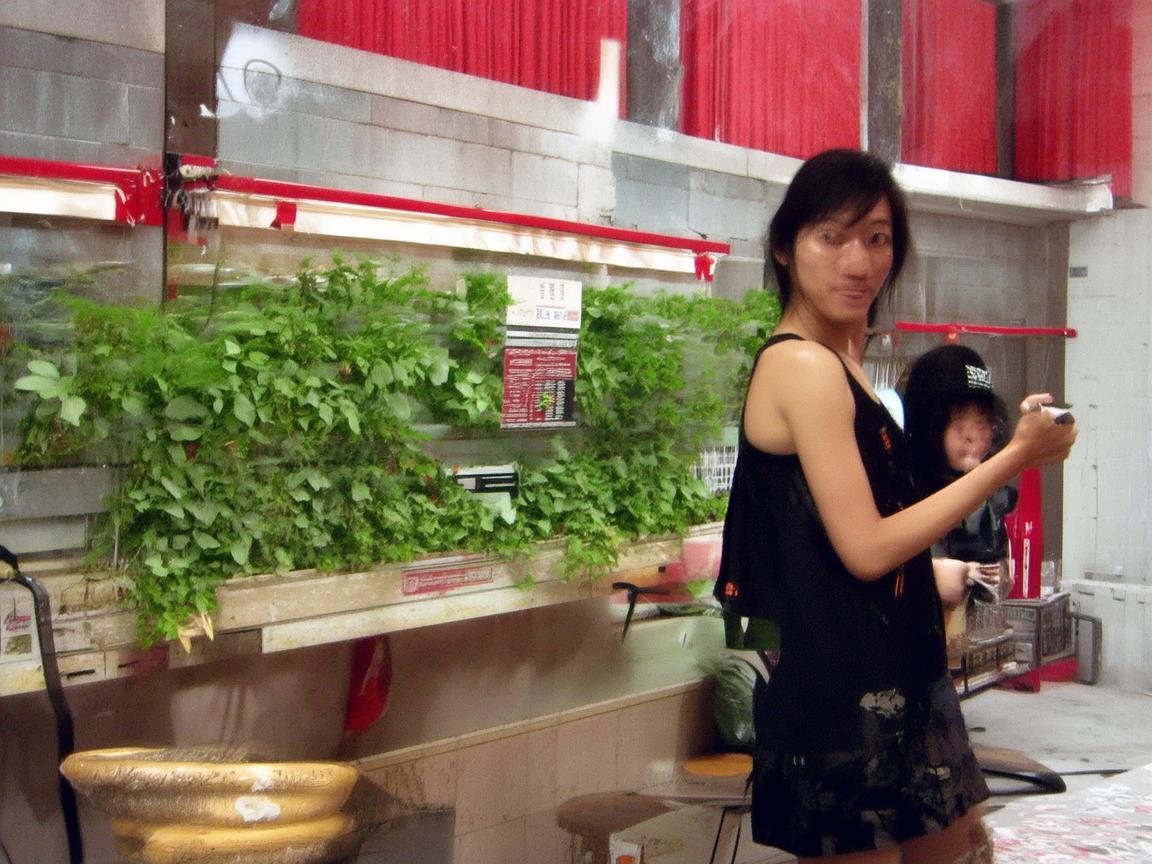 寒露时节，如何用音乐描绘秋意渐浓的诗意？