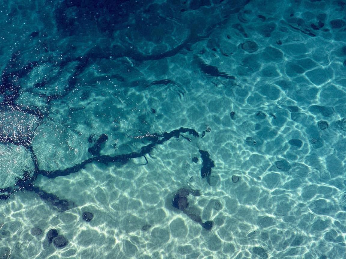 水族馆的旋律，如何在海洋的怀抱中编织梦幻乐章？