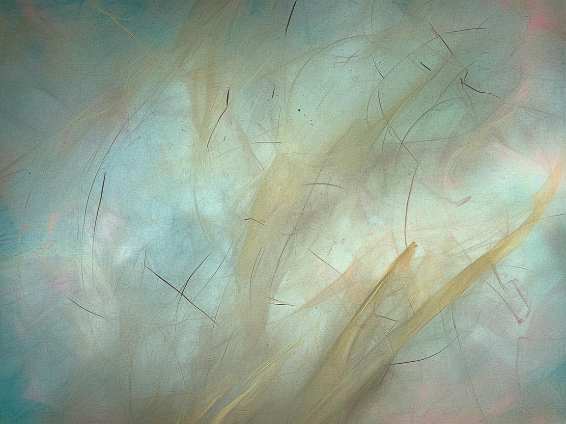 刷子轻点,奏响别样乐章 刷子轻点,奏响别样乐章