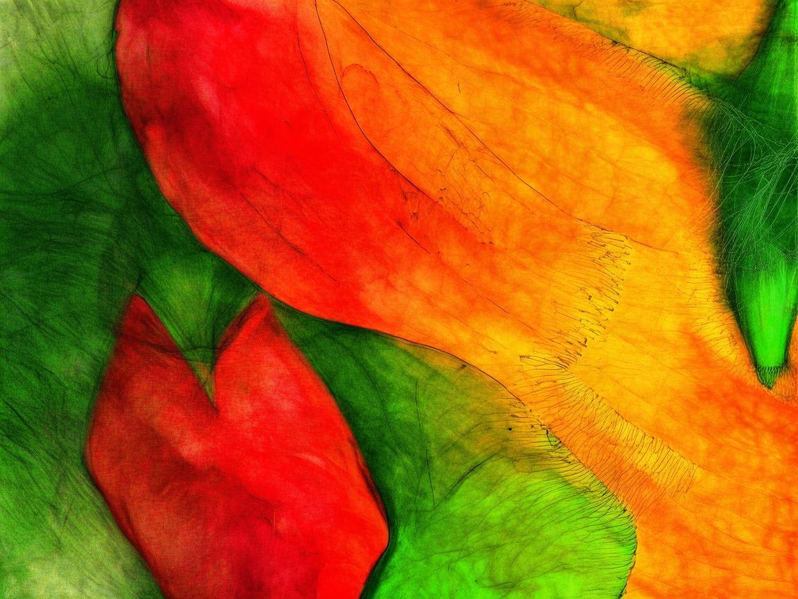 甜椒的音乐变奏曲