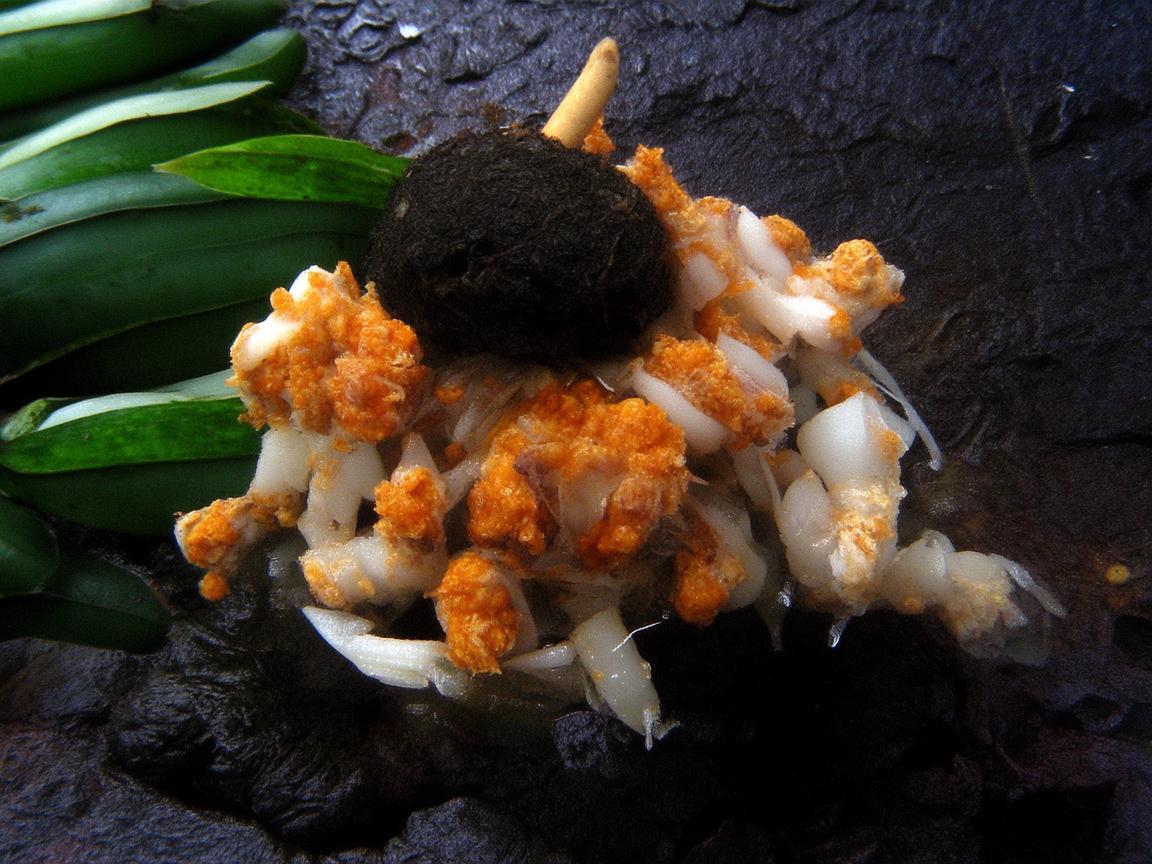 仁怀，奏响酱香文化的旋律