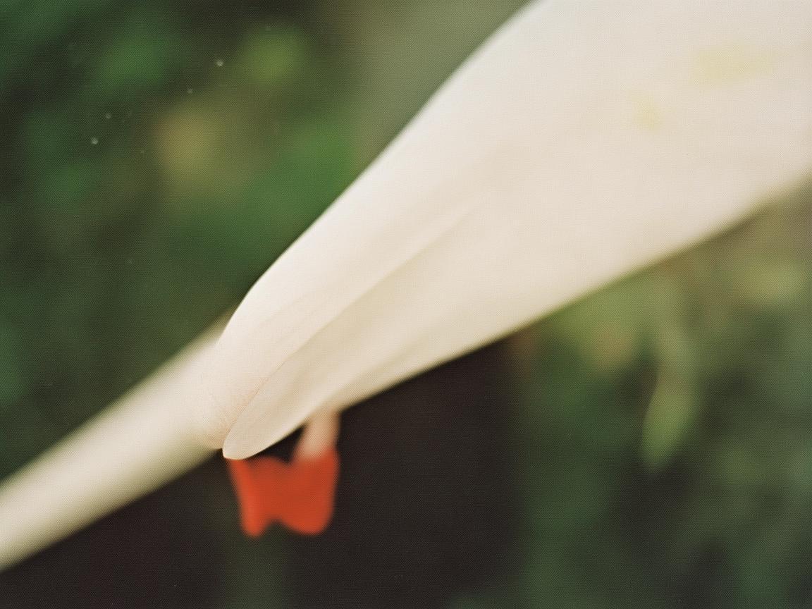 牛仔裤，奏响时尚与个性的乐章