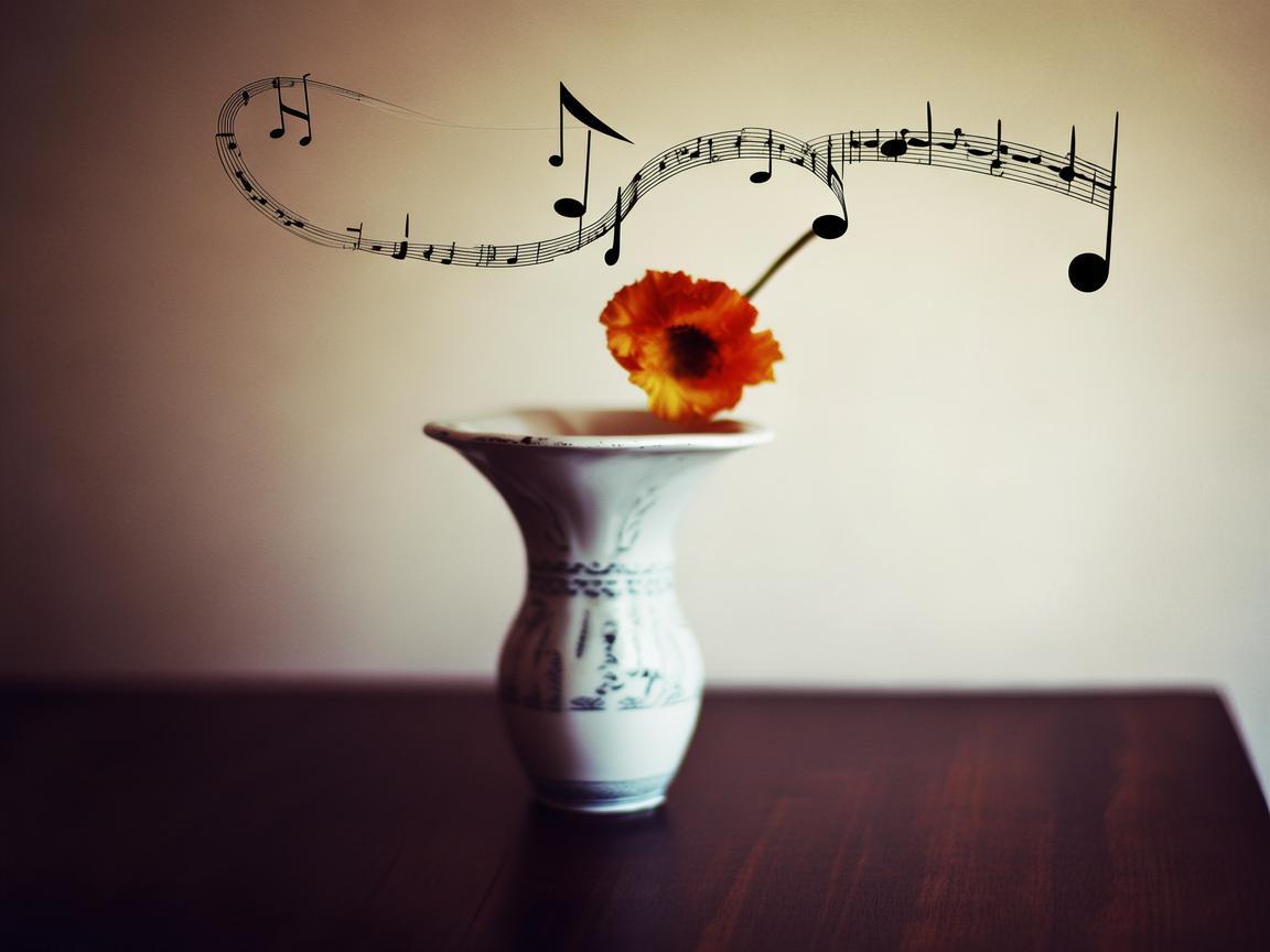 花瓶中的旋律，如何通过音乐创作捕捉瞬间之美？