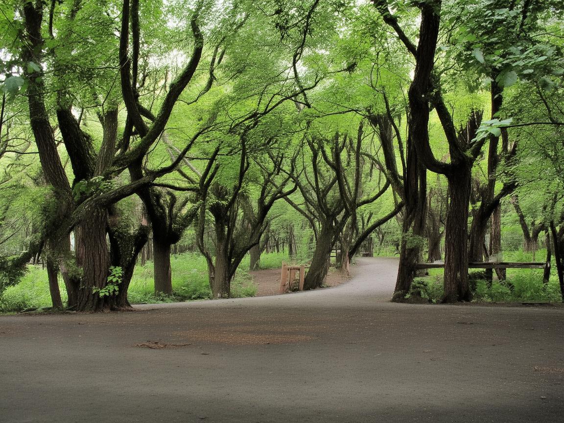 用音乐奏响养老院的温暖乐章