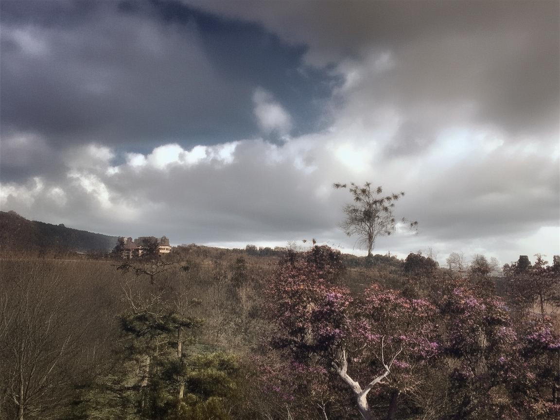 晋江文风下的旋律编织，如何将流行文学元素融入古典音乐创作？