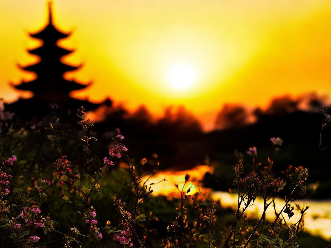 当阳之音，如何在创作中融入地域特色？