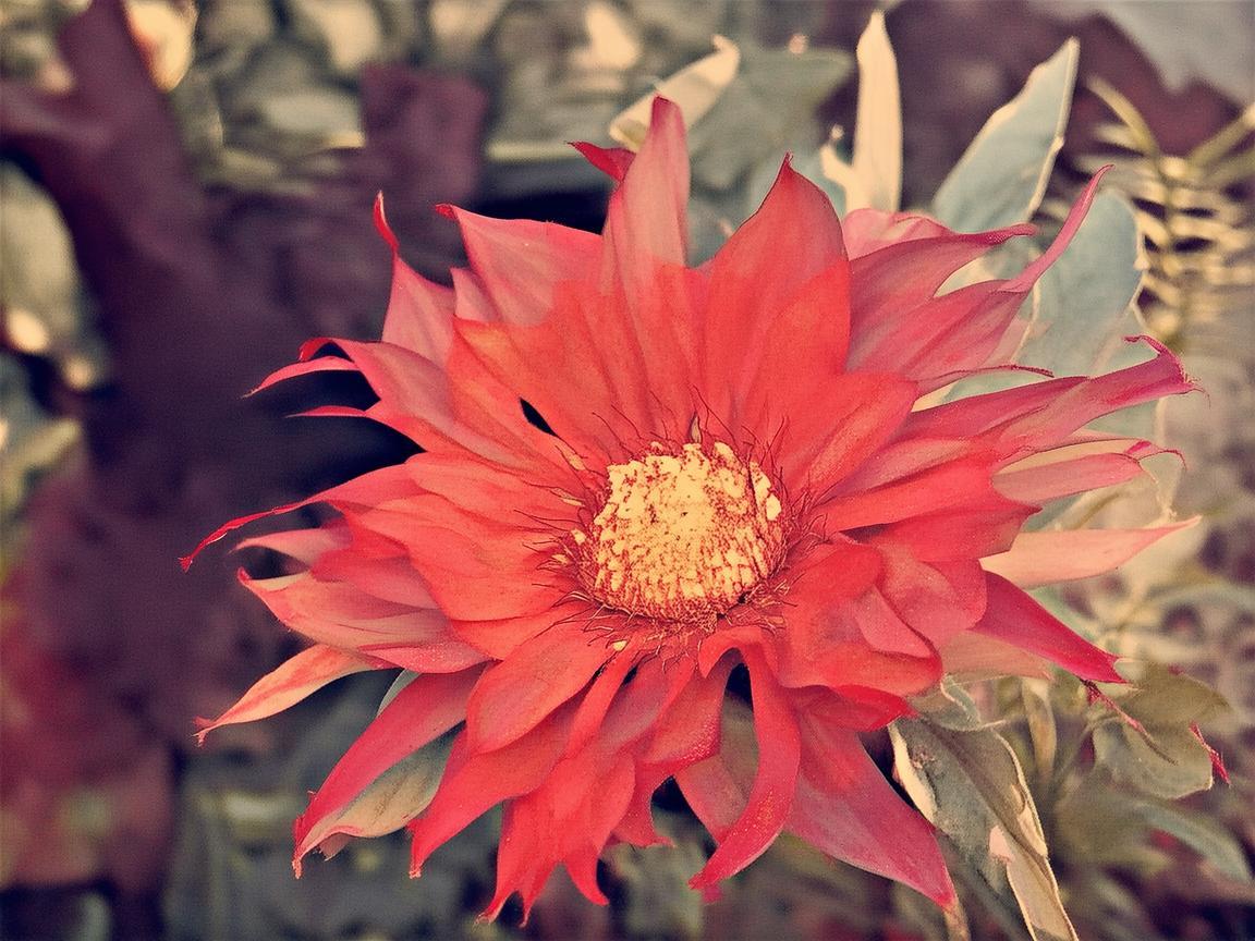 房东，奏响生活别样乐章的幕后音符