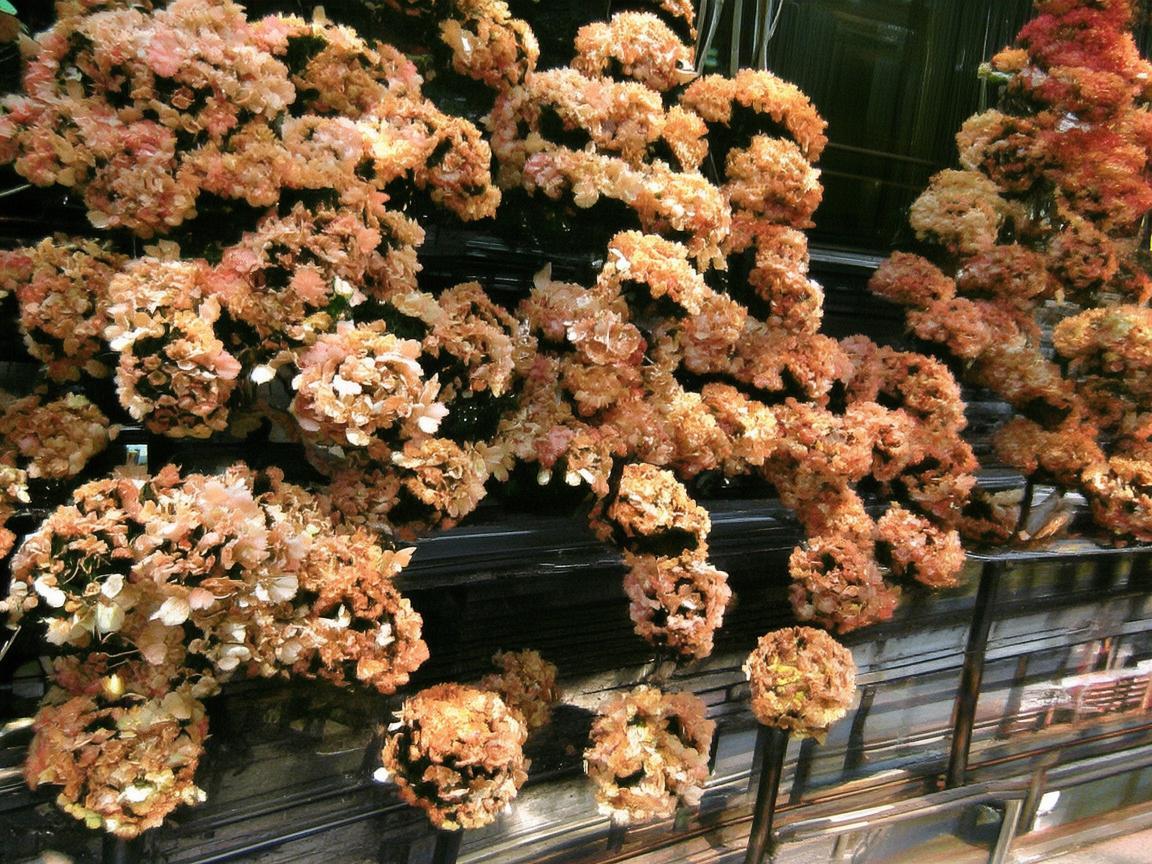 商洛元素如何融入现代音乐创作，一次音乐与地域文化的深度对话