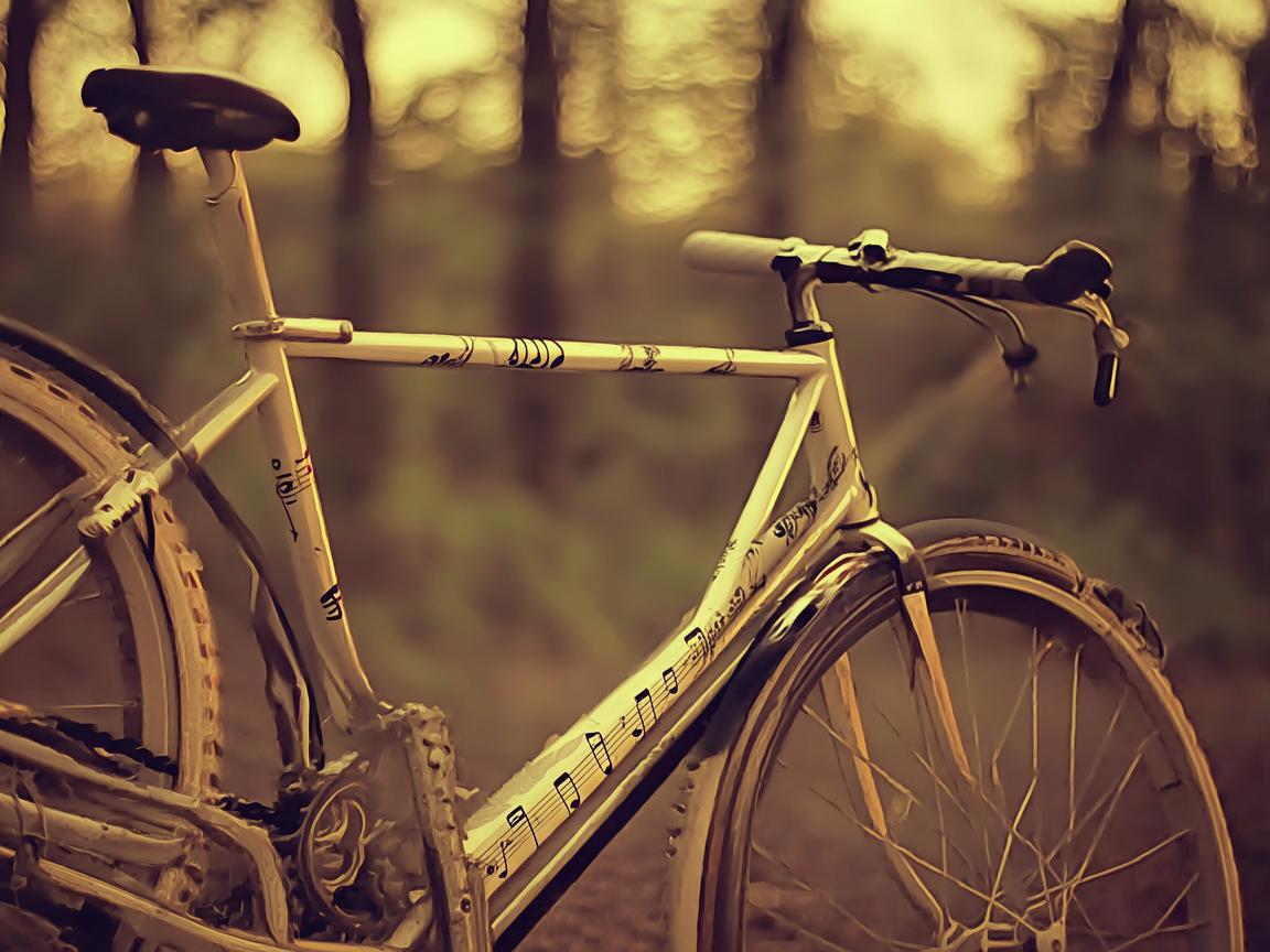 骑行之歌，用音乐描绘自行车的韵律