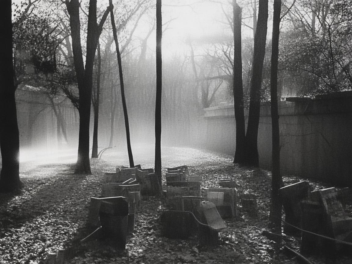 花鸟市场鱼缸,流动的音乐画卷 花鸟市场鱼缸,流动的音乐画卷