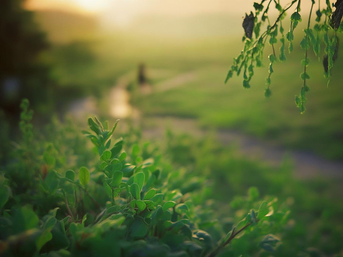 聆听旅途中的游客之歌