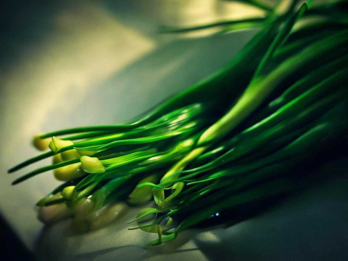 大葱奏响的别样乐章